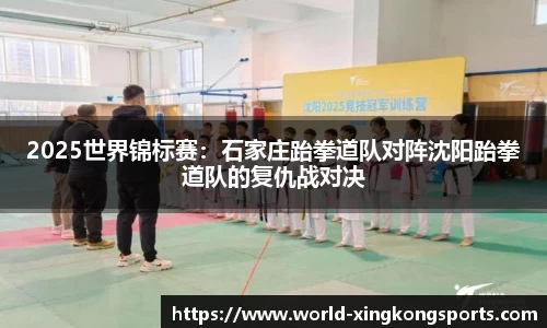 2025世界锦标赛：石家庄跆拳道队对阵沈阳跆拳道队的复仇战对决